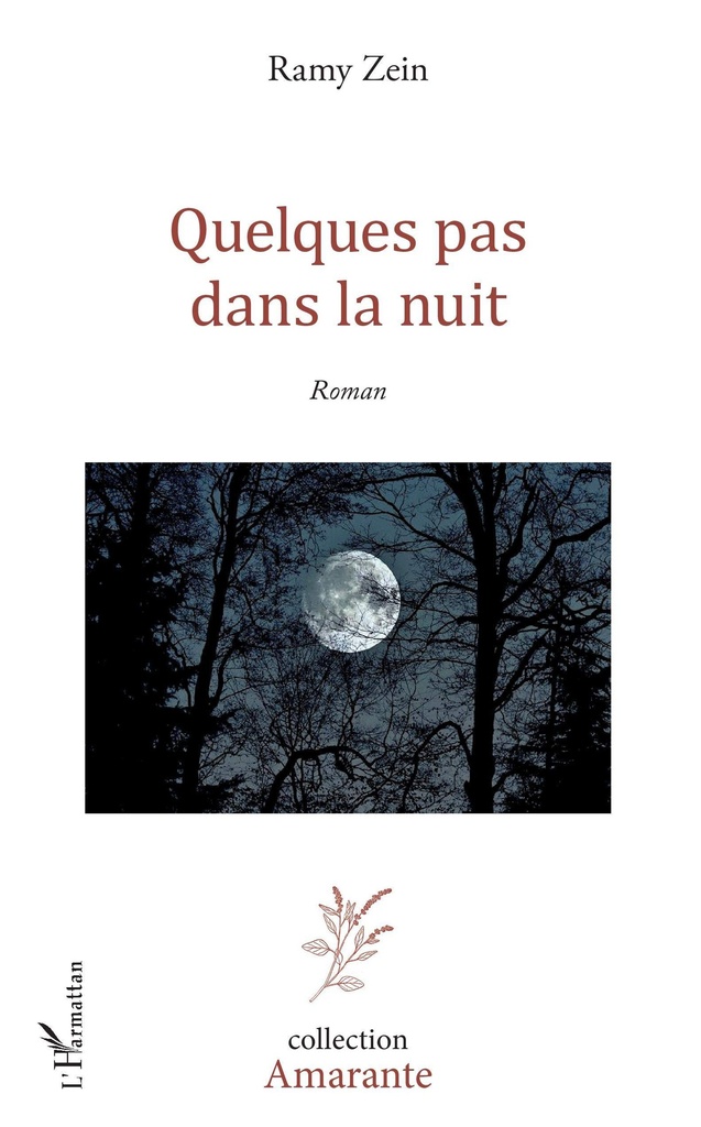 Quelques pas dans la nuit 