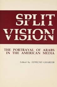 Split Vision