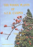 The woody plants of A.U.B. Campus