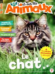 Pirouette: Tout Sur Les Animaux - N° 51