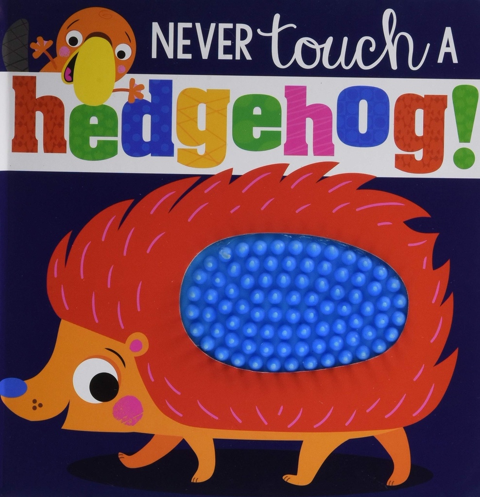 Never touch A Hedgehog! 