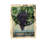 Stamp Story: Grapes Sticker Replica