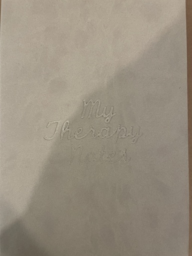 My Therapy Notes 