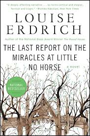 The Last Report on the Miracles at Little No Horse 