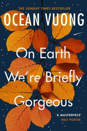 On Earth We're Briefly Gorgeous - Vintage