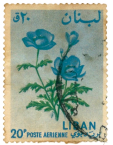 Stamp Story: Blue Flower Sticker Replica