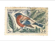 Stamp Story: Canard Colored Sticker Replica